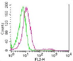 Monoclonal Antibody to CD37 (Clone: HH1)